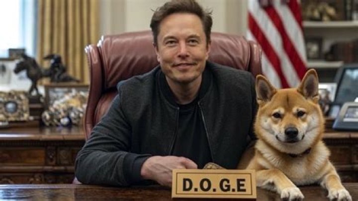 Doge Blocker: The Ultimate Guide to Understanding and Utilizing Dogecoin Blockers