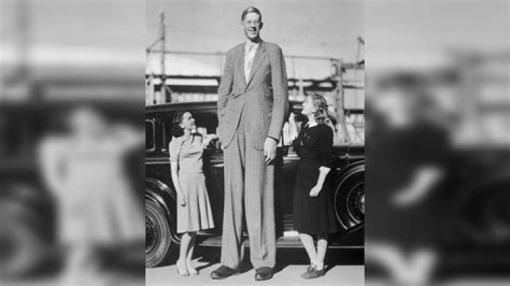 Tallest Celebrities: A Look at the Giants of the Entertainment Industry