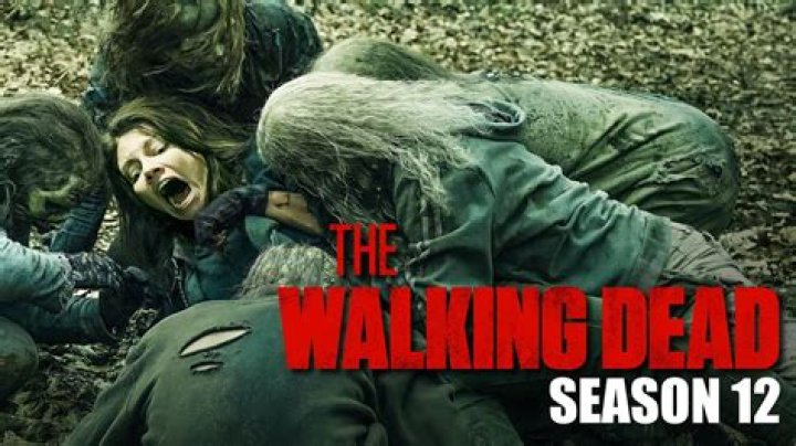 The Walking Dead Season 12: What We Know So Far